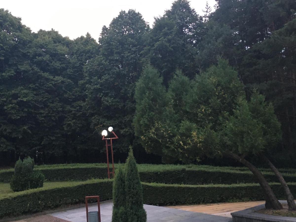 Пд Енерго - Вила Електра Dupnitsa Exterior foto