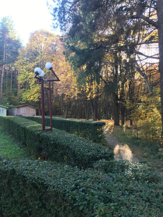 Пд Енерго - Вила Електра Dupnitsa Exterior foto