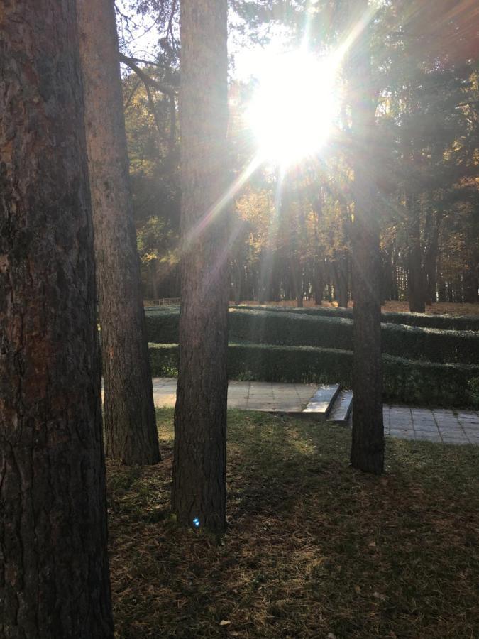 Пд Енерго - Вила Електра Dupnitsa Exterior foto