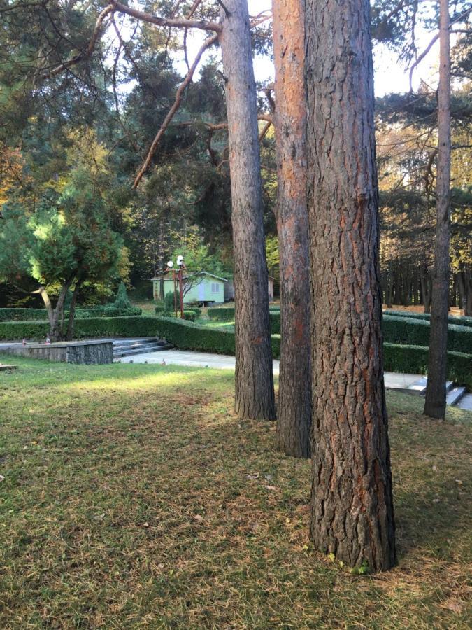 Пд Енерго - Вила Електра Dupnitsa Exterior foto